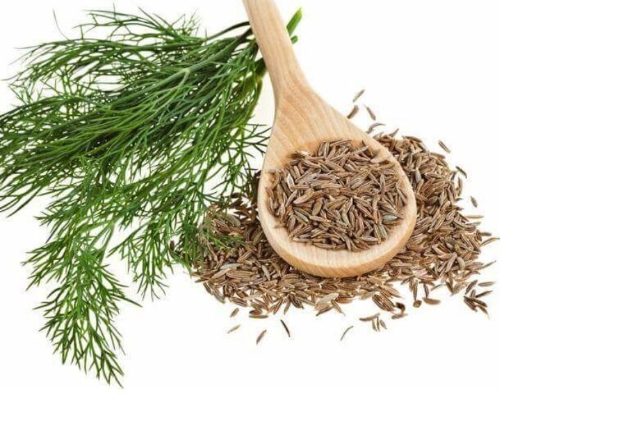 Cumin Seeds