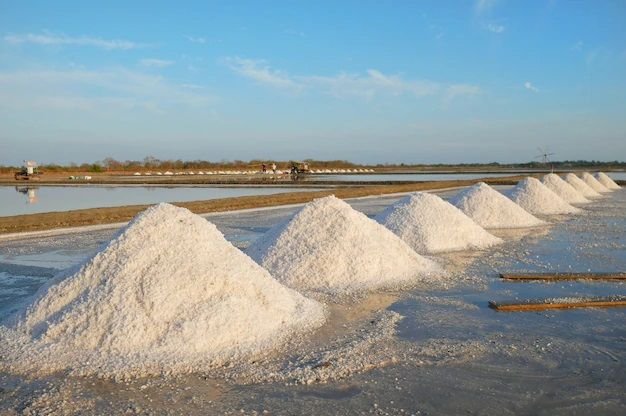 Edible Salt Supplier India