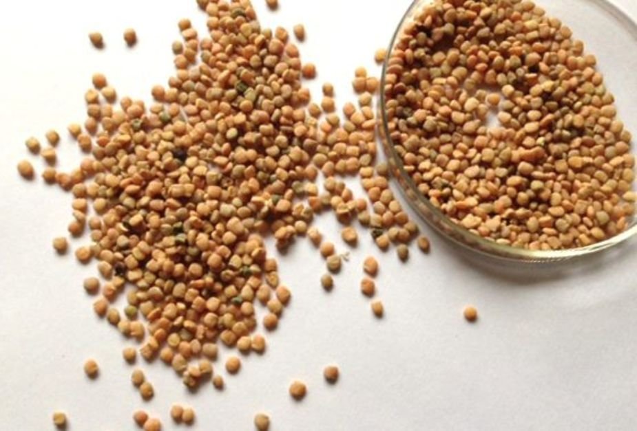Guar Seed