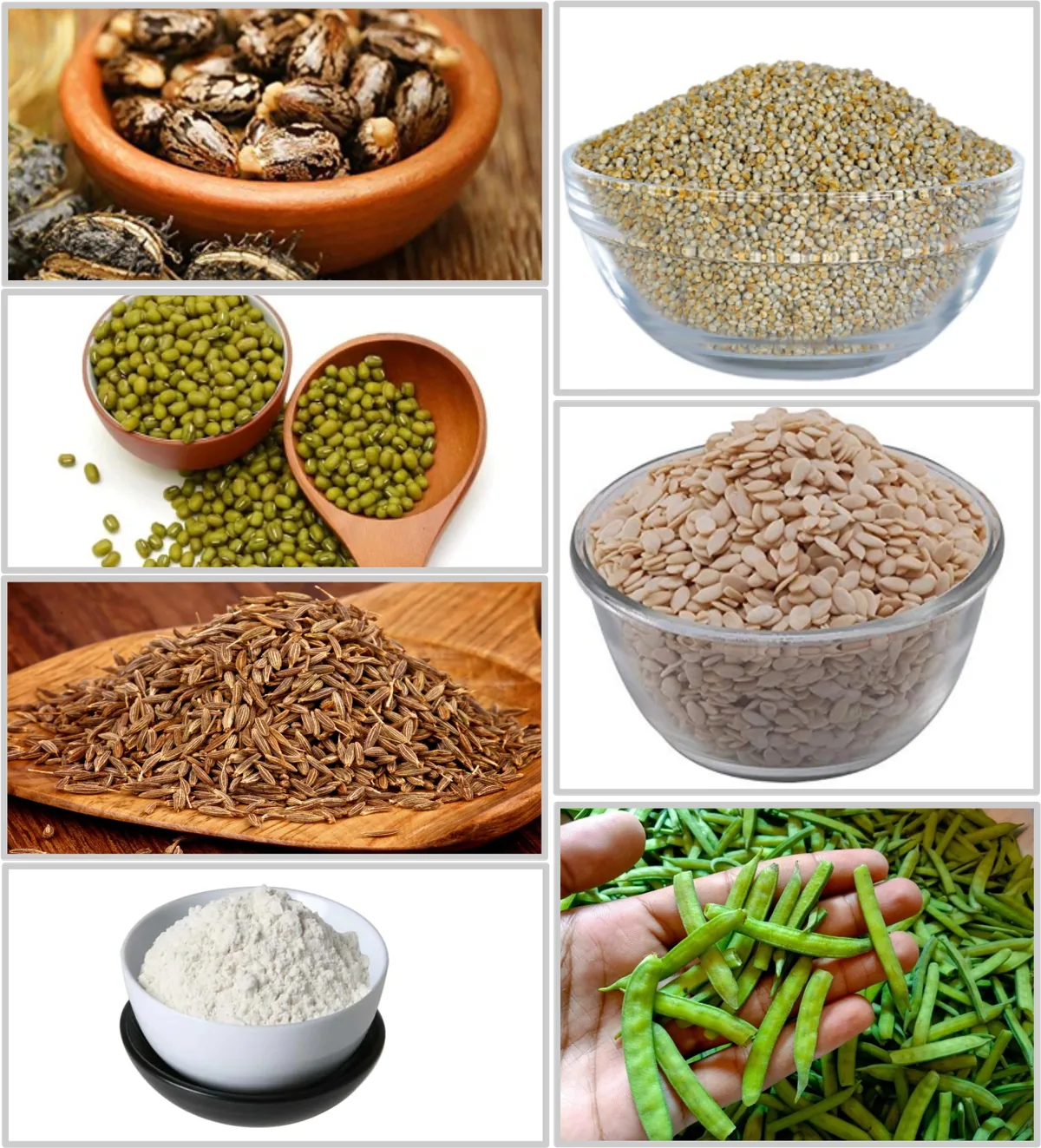 Seeds & Pulses