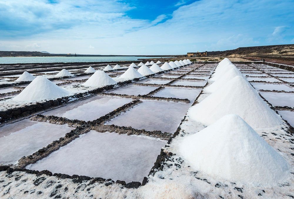 Natural Salt Exporter India